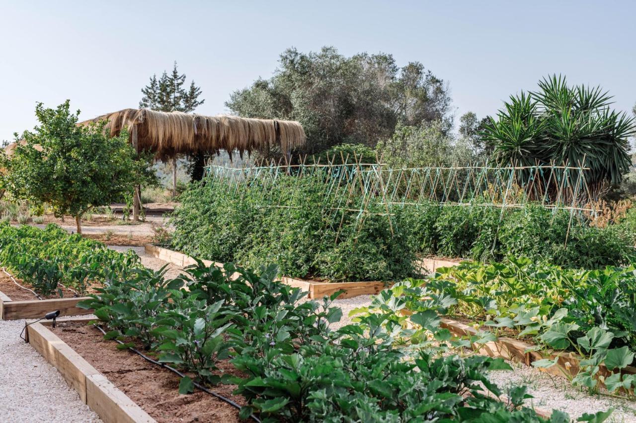 Agroturismo Can Domo Santa Eulária des Riu Exterior foto